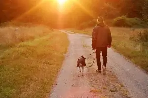 Man walking dog